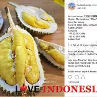 Durian Musang King, Malaysia