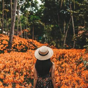 Wisata Taman Bunga Dari Berbagai Daerah di Indonesia