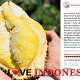3 Durian Terenak dan Termahal di Dunia, Nomor 2 dari Indonesia!