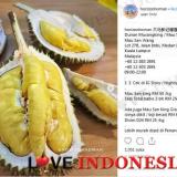 3 Durian Terenak dan Termahal di Dunia, Nomor 2 dari Indonesia!