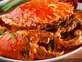 Resep Masakan Kepiting Saus Padang