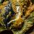 Resep Pepes Ikan Patin dan Sayur Lodeh Campur untuk Menu Sarapan