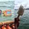 FOTO Pria Berenang di Tengah Laut Jualan Es Krim Viral, Reaksi Netizen di Luar Dugaan ..