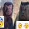 Gegerkan Media Sosial, Monyet yang Satu ini Dianggap Punya Ekspresi Wajah Mirip  ..