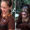Viral, Ning-Ning si Orangutan Meremas Payudara Penjaga Kebun Binatang ..