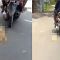 Beredar Video Kucing Diseret Pakai Motor di Jawa Tengah, Netizen Meradang ..