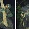 Demi Tugas Negara, Para Prajurit TNI ini Sampai Rela Tidur di Atas Pohon, Foto- ..