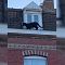 Seekor Black Panther Berkeliaran di Atap Rumah Bikin Heboh Warga ..