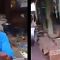 Viral Video Nenek Miskin dan Sebatang Kara di Sleman Ditendangi Karena Curi Mangga ..