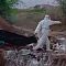 Video Viral Tunjukkan Mayat-mayat Korban Covid-19 di India Dibuang ke Lubang ..