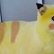 Viral Kucing Berbulu Kuning yang Disebut Mirip Pikachu ..