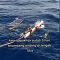 Viral Penyelamatan Dramatis Nelayan yang Terombang-ambing di Laut Selama 3 Hari ..
