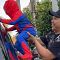 Gemasnya Cipung Cosplay Jadi Spiderman, Netizen: Lucu Banget Cipungdermen ..
