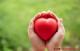 6 Makanan Baik untuk Kesehatan Jantung yang Direkomendasikan Dokter