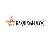 Bakmi Ayam Alok