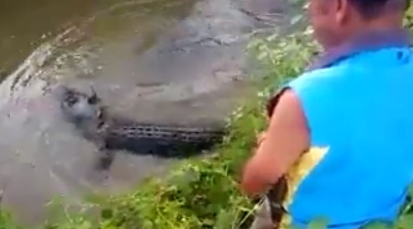 VIRAL! Sadis... Pemancing Tewas Dimangsa Buaya Muara, Warga Dibuat Terperangah