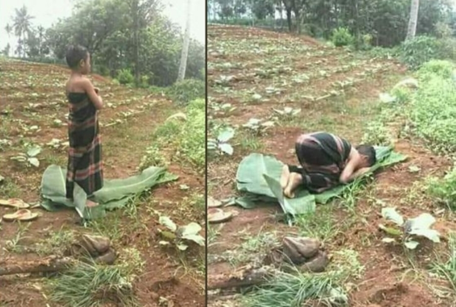 VIRAL Bocah Shalat Beralaskan Selembar Daun Pisang Saat Bantu Orangtua di Kebun, Netizen Non Muslim pun Bangga