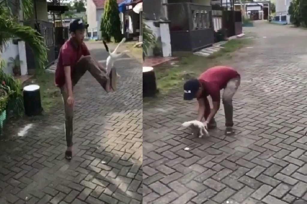 Tendang Kucing Seperti Bola, Kelakuan Pemuda Ini Bikin Netizen Geram