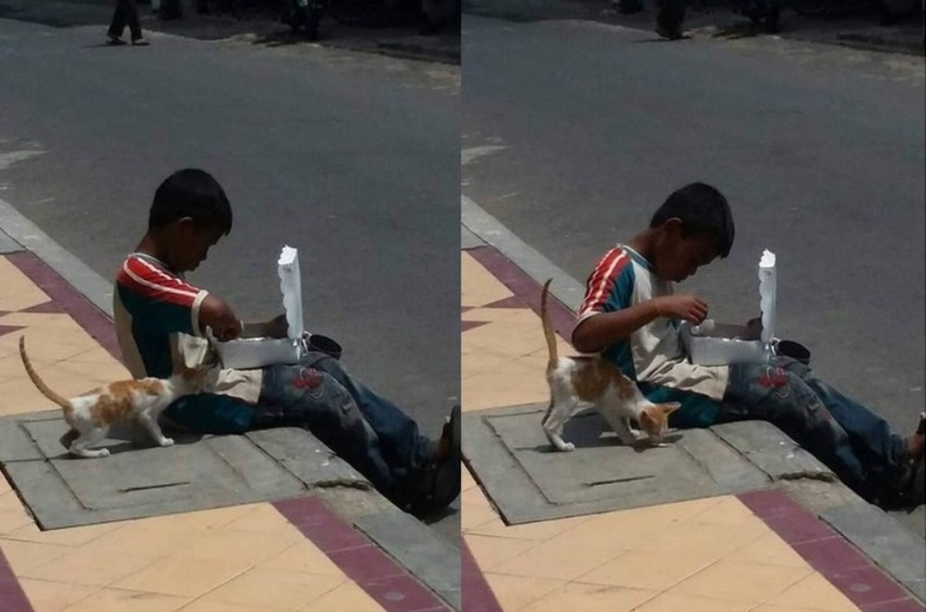 Berbagi Sekotak Nasi dengan Seekor Kucing, Aksi Bocah ini Tuai Pujian, Bikin Terharu!