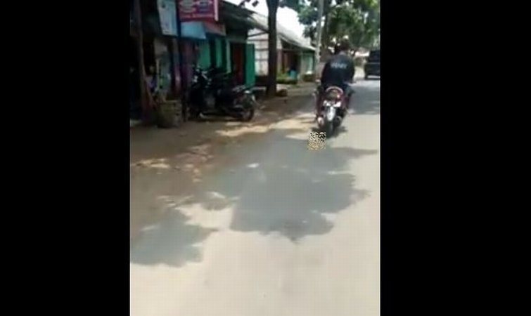 Viral Kucing Diseret Pakai Motor di Pekalongan, Pencinta Hewan Meradang