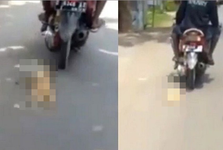 Beredar Video Kucing Diseret Pakai Motor di Jawa Tengah, Netizen Meradang