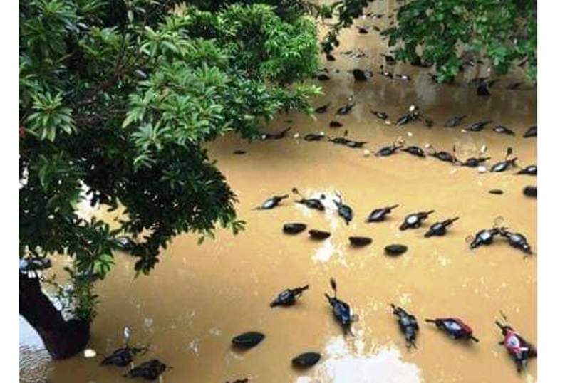 Heboh Kabar Puluhan Motor Terendam Banjir Jakarta, Hoaks atau Fakta?