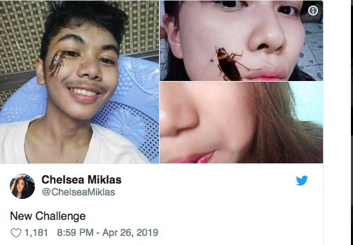 Viral Challenge Selfie Bareng Kecoa Nempel di Wajah, Netizen:  Makin Besar, Makin Menjadi Bodohnya!