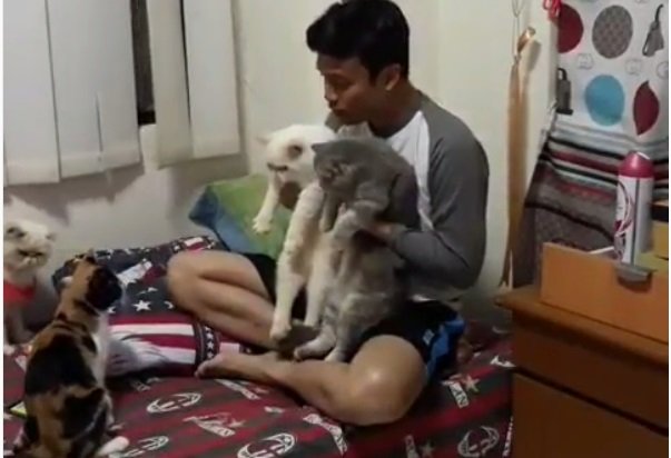 Video Kocak Nikahkan Kucing, Netizen: Semoga Awet Gilanya Ya!