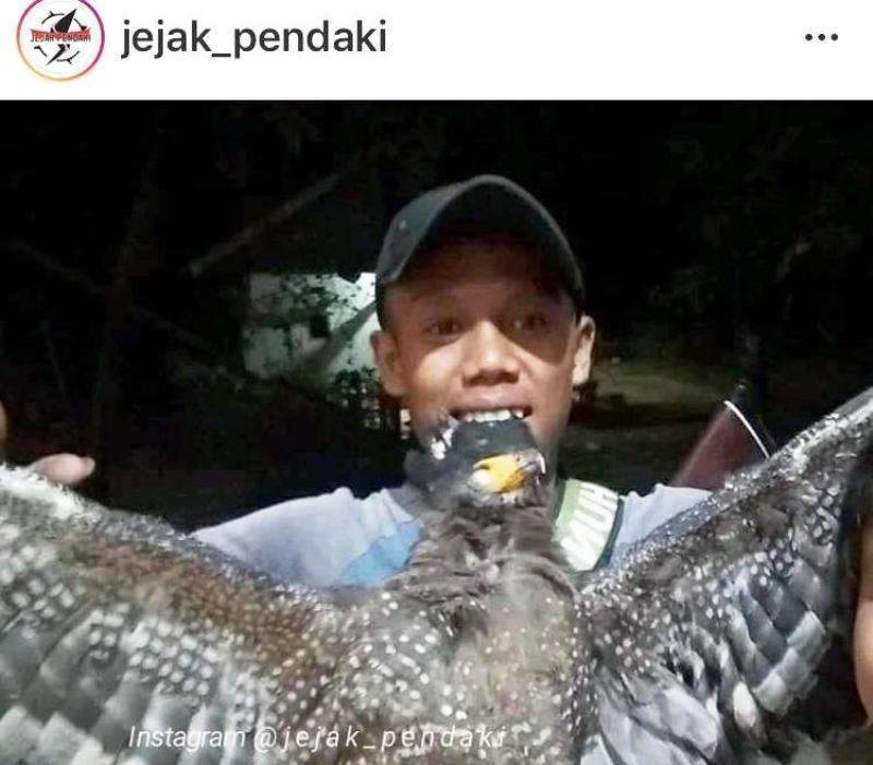 Unggahan Pamer Tembak Elang Jawa Jadi Viral, Pemuda Ini Diringkus Polisi