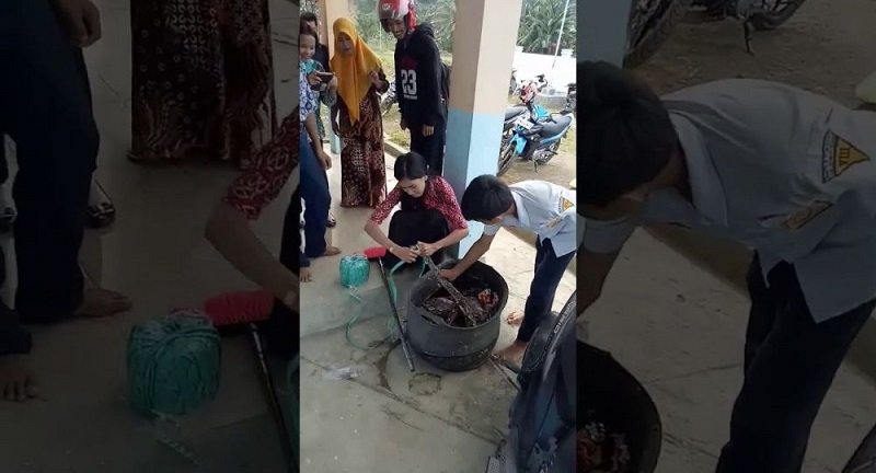 Viral Guru Tangkap Ular Piton dengan Tangan Kosong