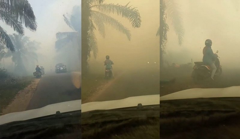 Viral Pemotor Tabrak Pohon Kelapa Sawit di Tengah Kabut Asap