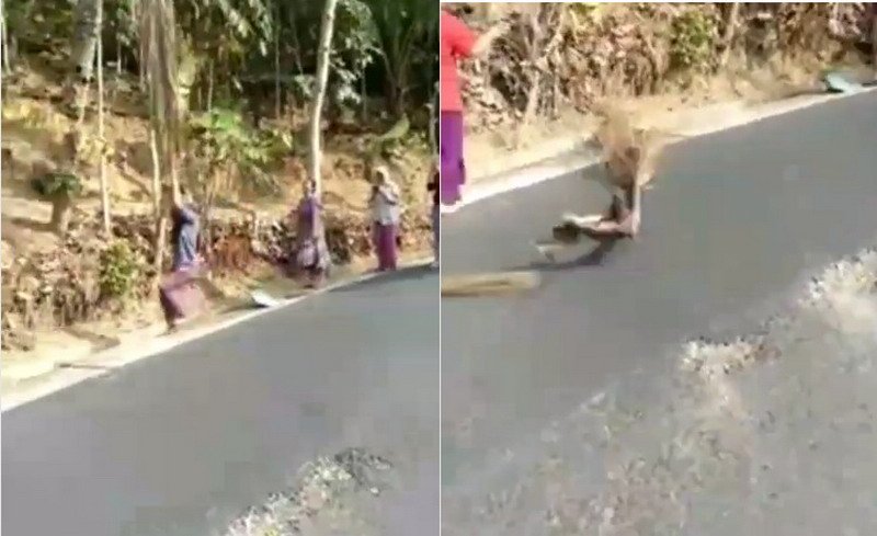 Viral Emak-Emak Jatuh ke Selokan Usai Gelantungan di Dahan Pohon Kelapa