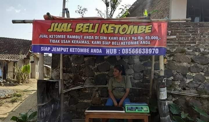 Viral Bisnis Jual Beli Ketombe Rp65 Ribu per Kg, Kisah di Baliknya Bikin Haru