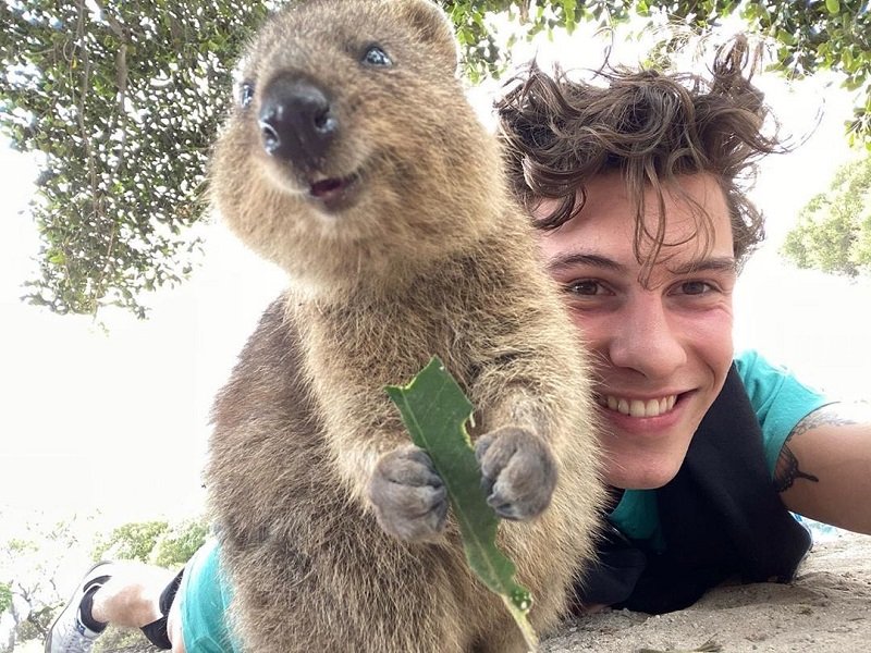 Lucunya Shawn Mendes Foto Bareng Hewan Paling Bahagia di Dunia