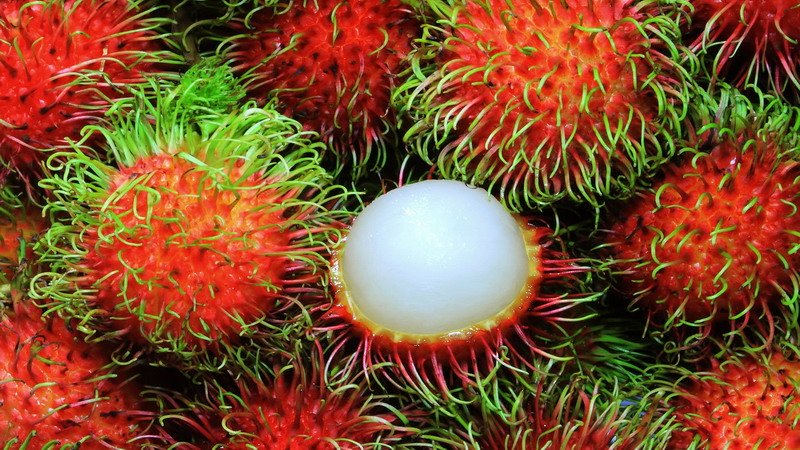 Viral Bule Kupas Rambutan Pakai Pengupas Kentang, Netizen: Mataku Tersakiti