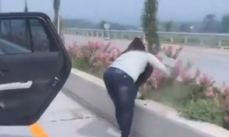 Viral Video Emak-emak Cabut Bunga di Tol, Plat N Jadi Trending Topik