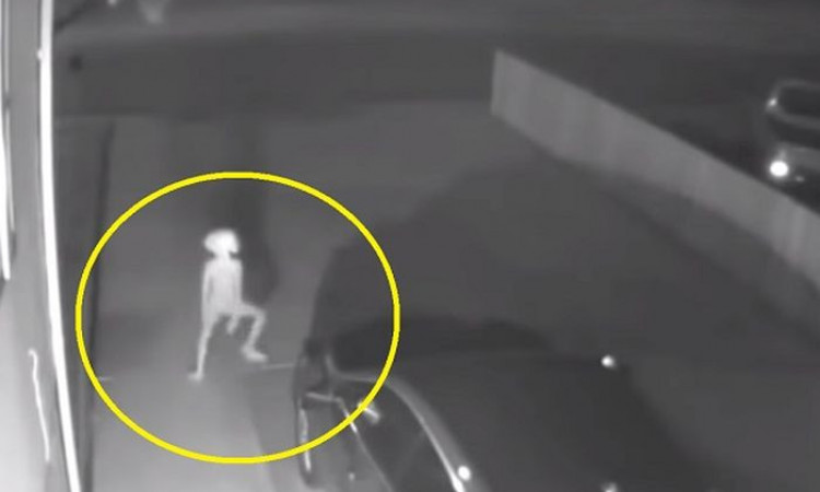 Viral Penampakan Alien yang Berjoget di Garasi Rumah