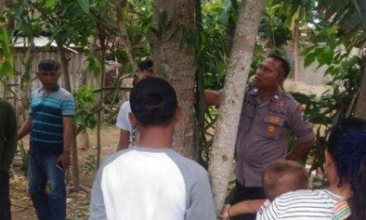 Heboh Pohon Menangis di Jember, Warga: Suara Tangisan Perempuan