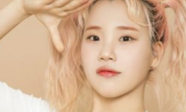 JooE Momoland Ingin Jadi Bintang Iklan Soju, Netizen Beri Komentar Pedas