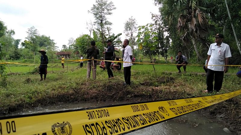 Warga Sumenep Dihebohkan Air 'Mendidih' di Sawah