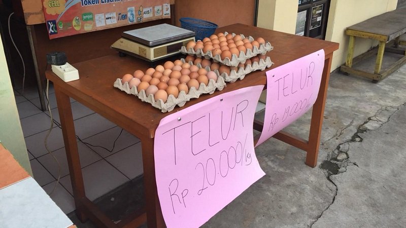 Viral Telur Infertil, Apa Itu?