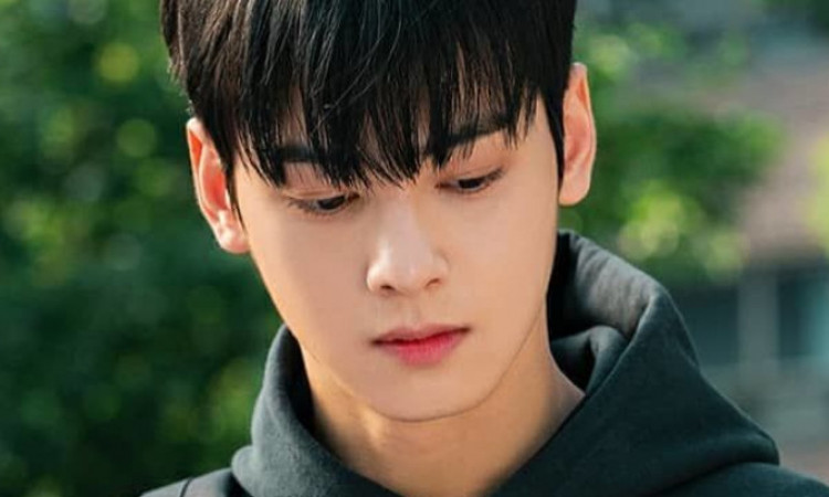 Ingin Raih Penghargaan Rookie Di SBS Entertainment Awards, Cha Eunwoo ASTRO Panen Nyinyiran Netizen Korea!