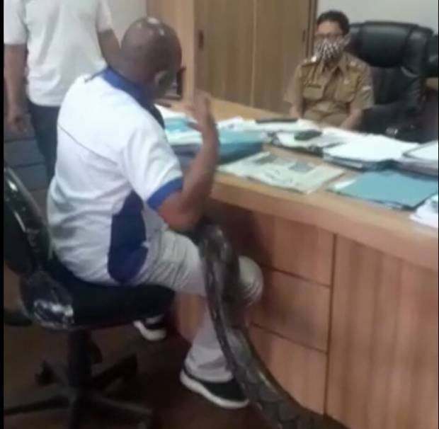 Viral Kadis di Bandung Barat Diintimidasi Warga dengan Ular Sanca