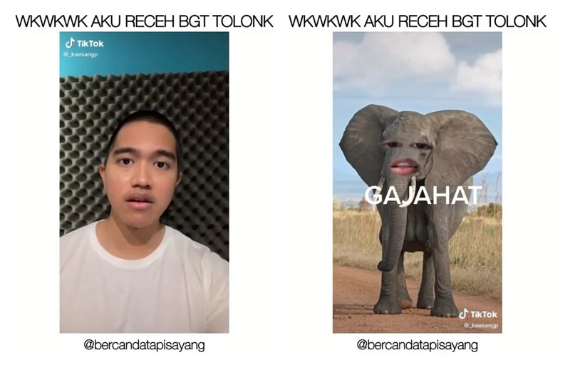 Viral Kaesang Ngelawak di TikTok, Netizen: Mau Komentar Tapi Takut