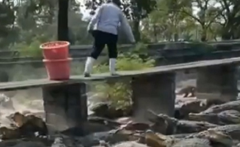 Viral Penampakan The Real Jembatan Kematian, di Bawahnya Penuh Buaya Kelaparan