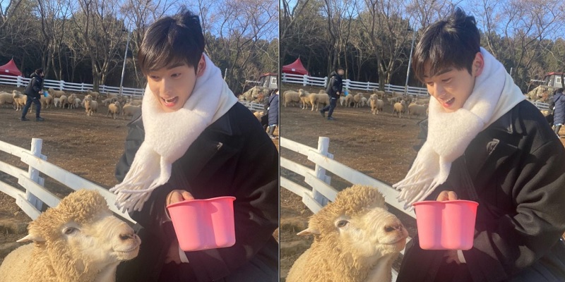 Gemasnya Cha Eun Woo Foto Bareng Domba, Netizen Salfok Gayung Lope