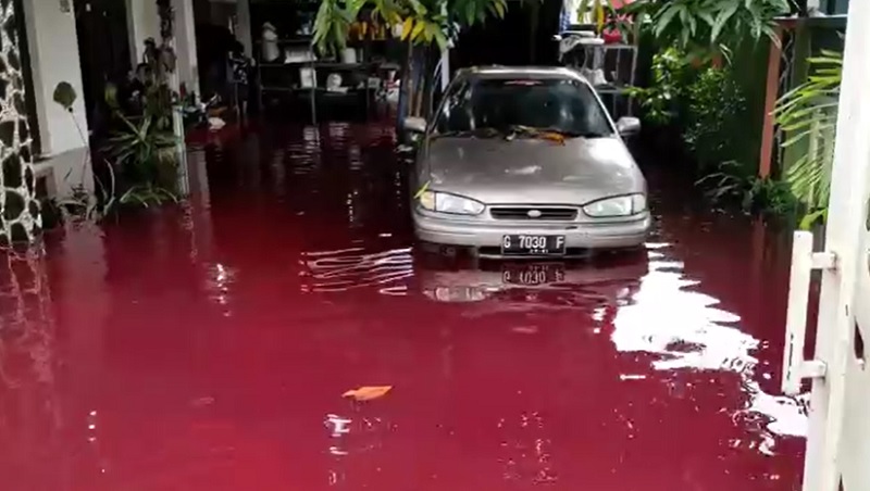 Heboh! Desa Jenggot di Pekalongan Banjir Warna Merah Darah