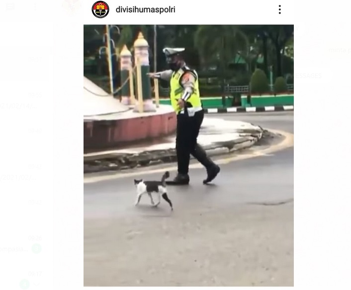 Viral! Mantan Menteri Jokowi Apresiasi Polisi yang Bantu Kucing Nyeberang