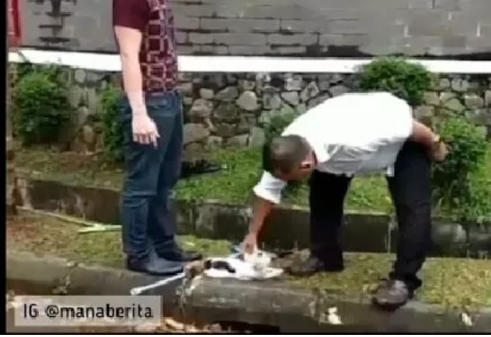 Viral Kucing Mati Dibunuh Pengurus Sekolah SoliDEO Tangsel, Begini Faktanya