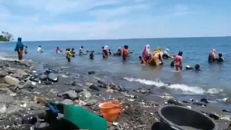 Heboh Ada Material Emas, Warga di Maluku Berbondong ke Pantai Pohon Batu